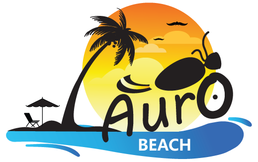 Aurobeach – bike rental in Auroville and Pondicherry