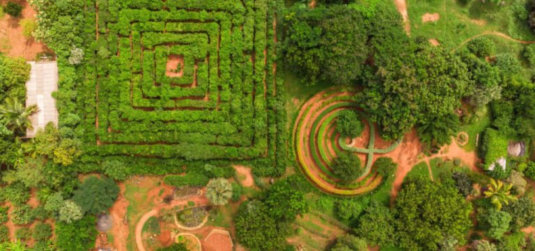 Auroville Botanical Gardens: Visiting Guide, Timings and What to See