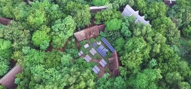 Sadhana Forest, Auroville: Friday Film Nights, Tours and Volunteering