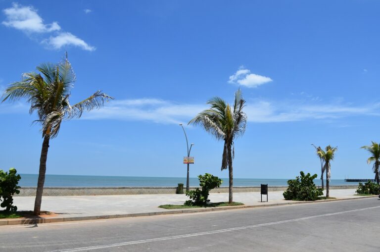 Best Time to Visit Pondicherry & Auroville (Month by Month)