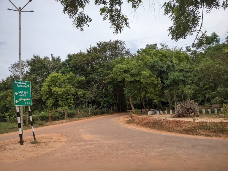 Getting Around Auroville: Cycle, Scooter, Auto or Taxi?