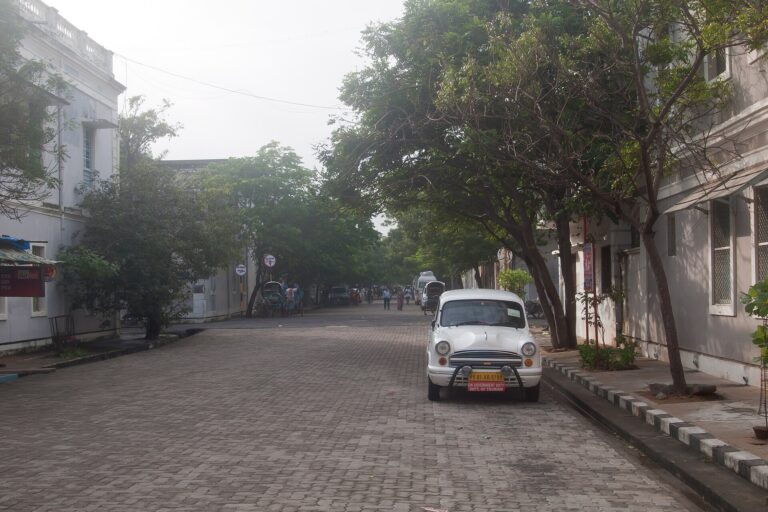 Which Driving Licence Do You Need to Rent a Scooter in India?